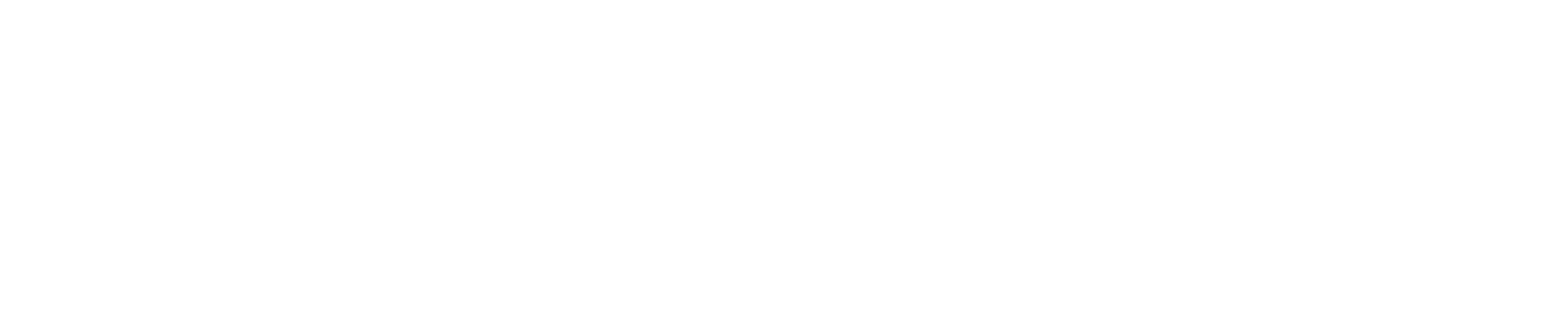 Logo Neodent